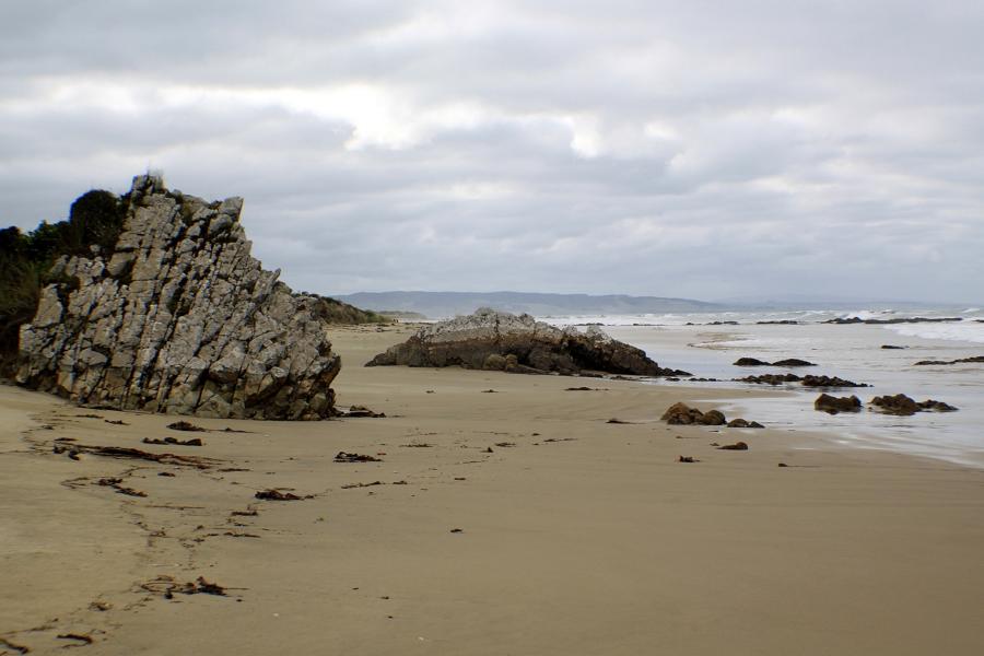 Strand in der Nähe von Dunedin.