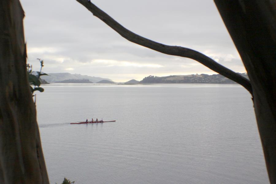 Halbinsel Otago Peninsula. 