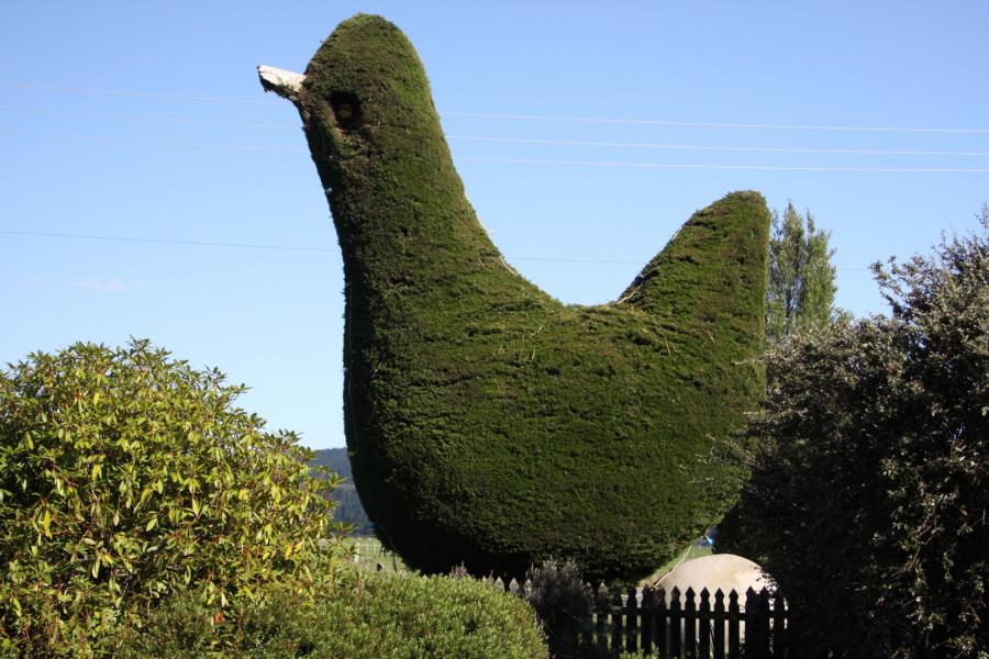 Nach Oamaru beginnt ein landwirtschaftlich intensiv genutztes Gebiet.