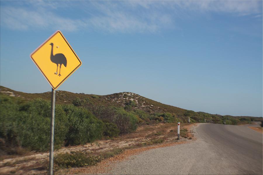 Zufahrt zum Nambung-Nationalpark.