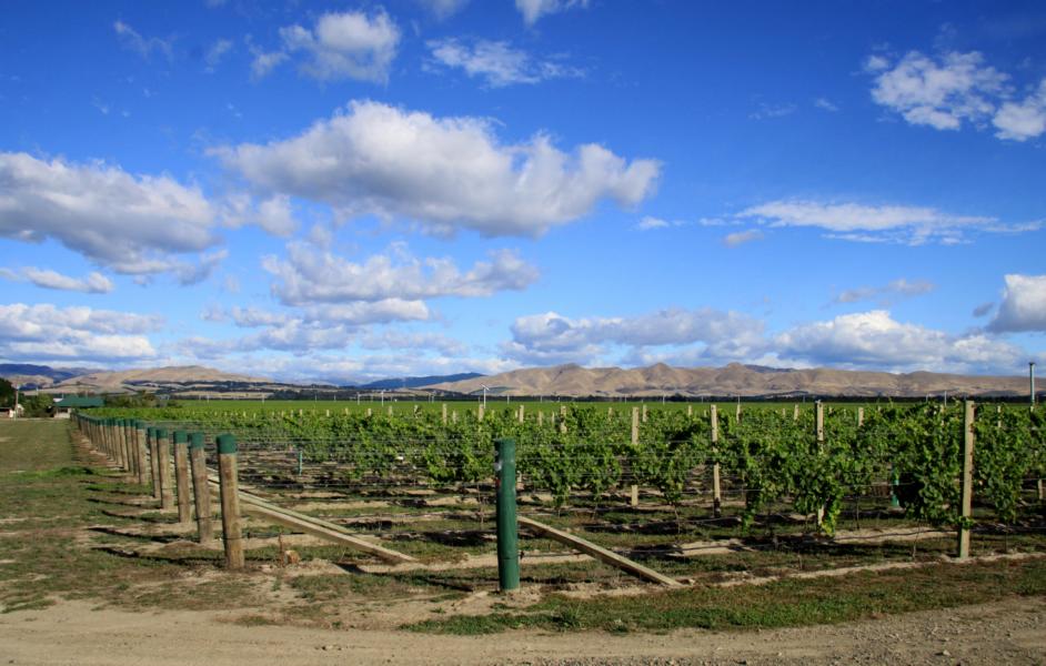 Weinbaugebiet Waipara.