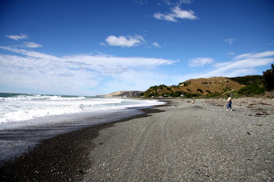 Wir verließen die Hauptstraße und unternahmen einen kleinen Spaziergang am Strand zwischen Waipara und Kaikoura.