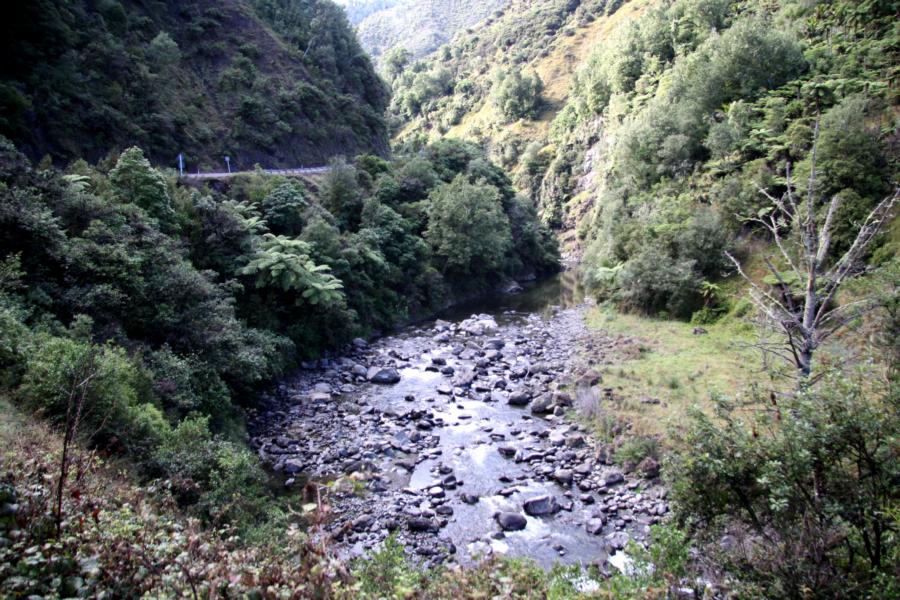 Die Straße führt durch dichte Bewaldung immer an einem Fluss entlang.