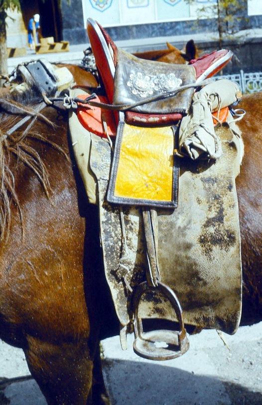 Leder schützt das Pferd vor Verletzungen des Steigbügels.