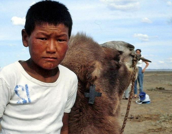 Schon die Kinder der Kamelzüchter beherrschen den Umgang mit den Tieren.