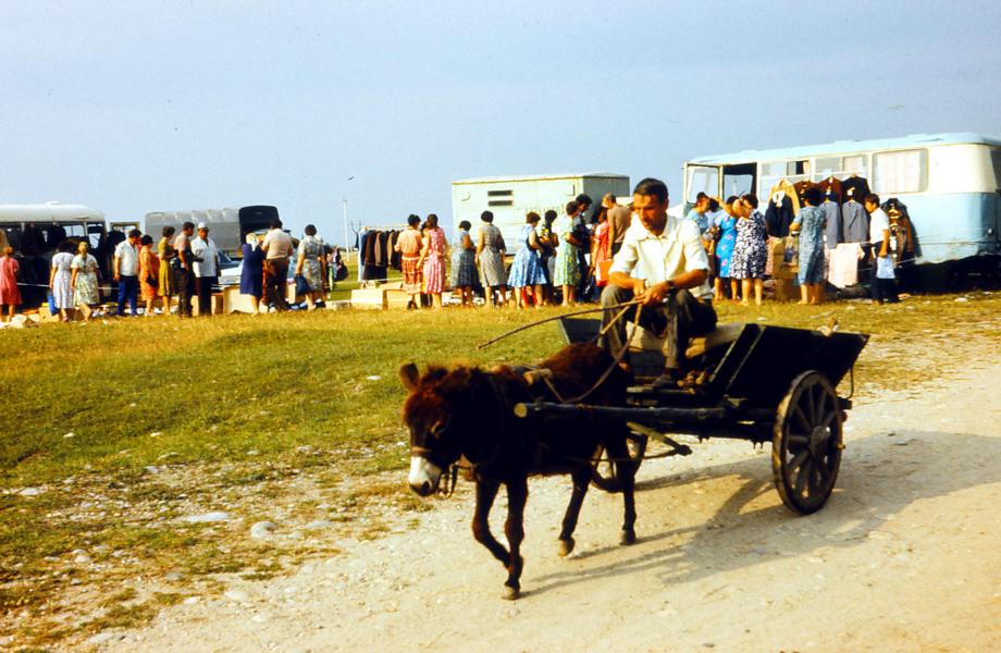 Wochenmarkt auf der grünen Wiese.