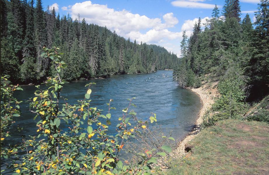 Clearwater River 