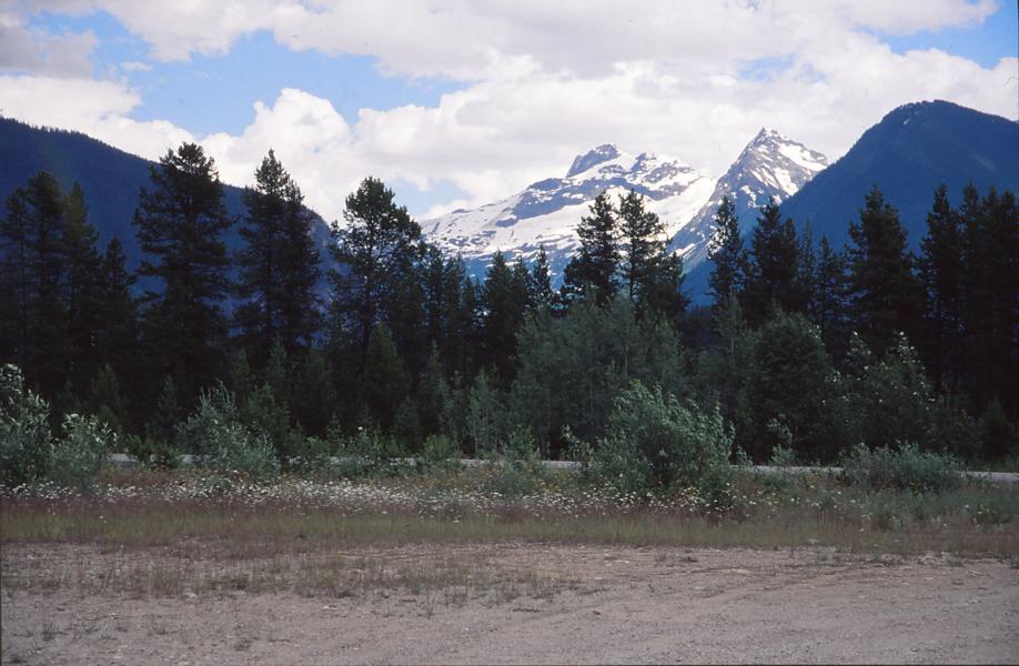 Tal des Clearwater River.