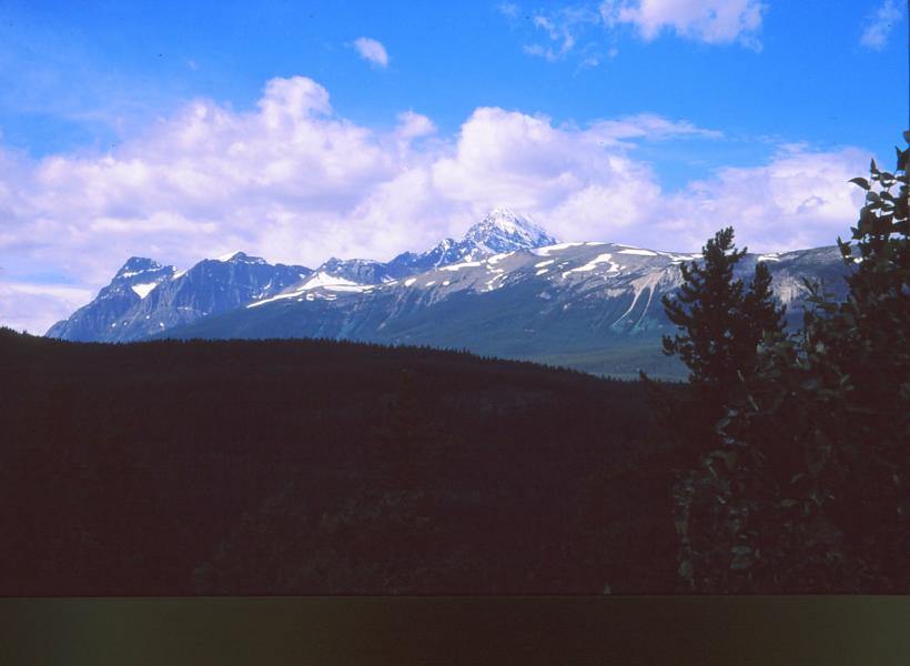 Gleich nach Jasper beginnt der Icefields Parkway und seine großartigen Landschaften.