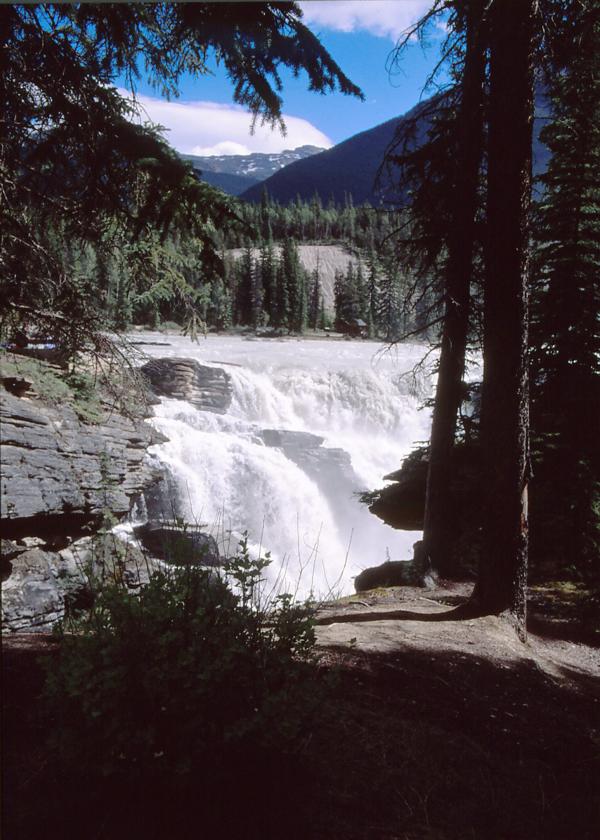 Athabasca Falls 