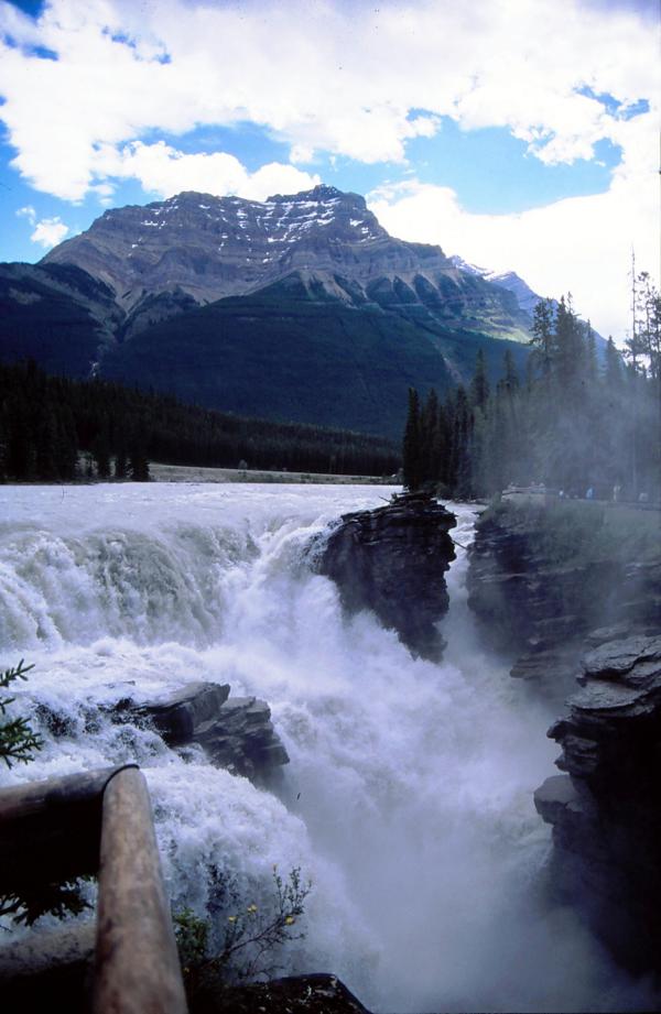 Die Athabasca Falls sind nicht wegen ihrer Höhe bekannt, sondern wegen der Kraft, mit der das Wasser durch den engen Spalt stürzt. Der Athabasca River führt hier meistens zwischen 100 und 200 m³/s, welche dann durch den nur etwa 30 Meter breiten Spalt stürzen. Die größte geschätzte Wassermenge, die der Fall führte, lag bei rund 500 m³/s.