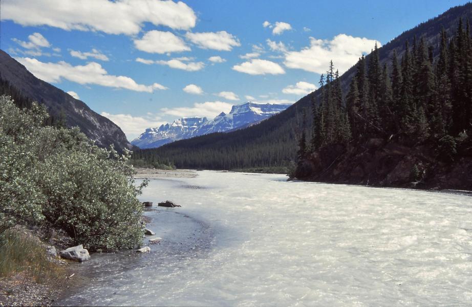 Der Saskatchewan River ist ein 547 km langer Strom, der viel Wasser führte.