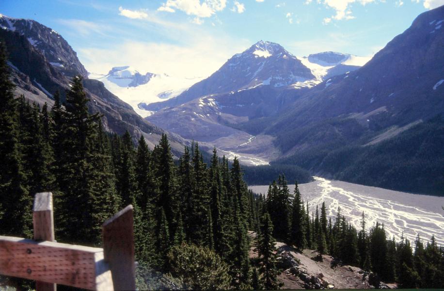 Der etwa 12,6 km² große Peyto-Gletscher ist ein im Banff-Nationalpark gelegener Gletscher. Er erstreckt sich zwischen 2100 m und 3185 m Höhe über Meeresspiegel. Seit 1896 hat der Gletscher etwa 70 % seines Volumens verloren. 