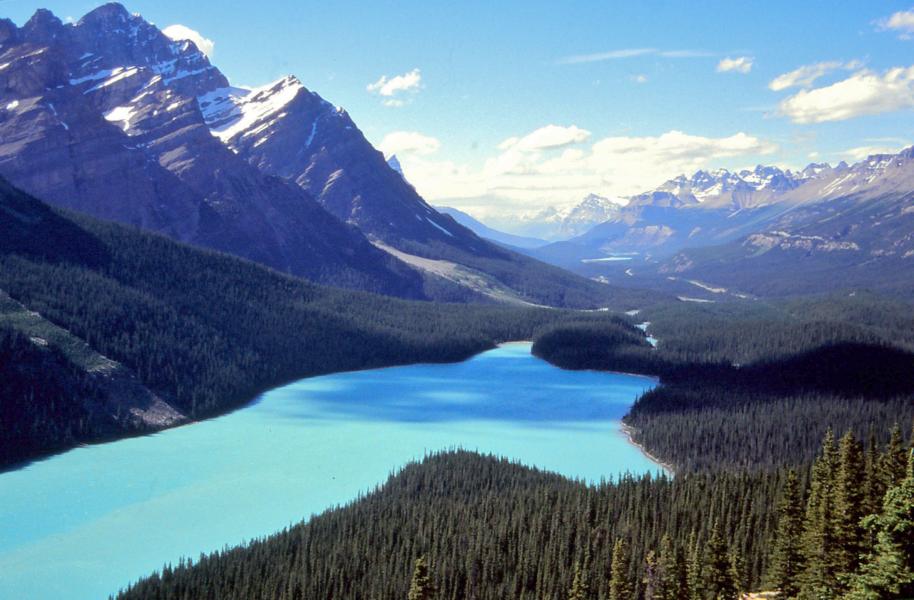 Silt aus dem Schmelzwasser des Peyto-Gletschers ist die Ursache der türkisen Farbe des Peyto Lake.