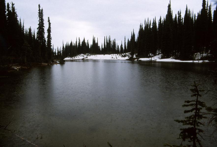 Miller Lake