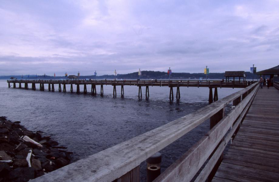 Auf der Seebrücke konnte man den Anglern über die Schulter schauen.