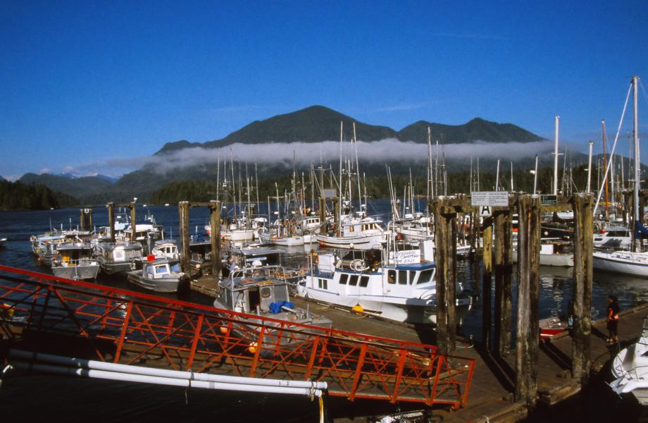 Hafen von Tofino.