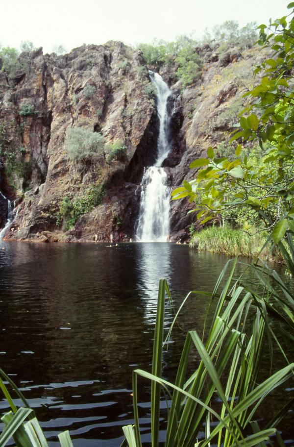 Wangi Falls