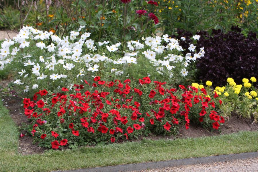 Blumenrabatten im Nymans Garden.