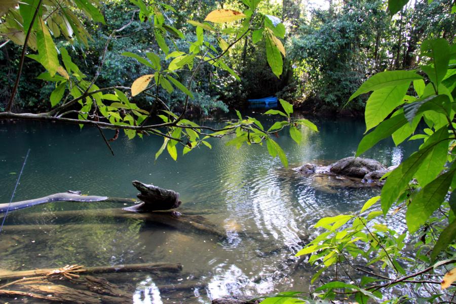 An der Flussmündung des Rio Claro angekommen, kann man entweder ein kühles Bad nehmen, was wir wegen der Anwesenheit von Krokodilen lieber mieden oder sich per Boot übersetzen lassen, um die Wanderung fortzusetzen.