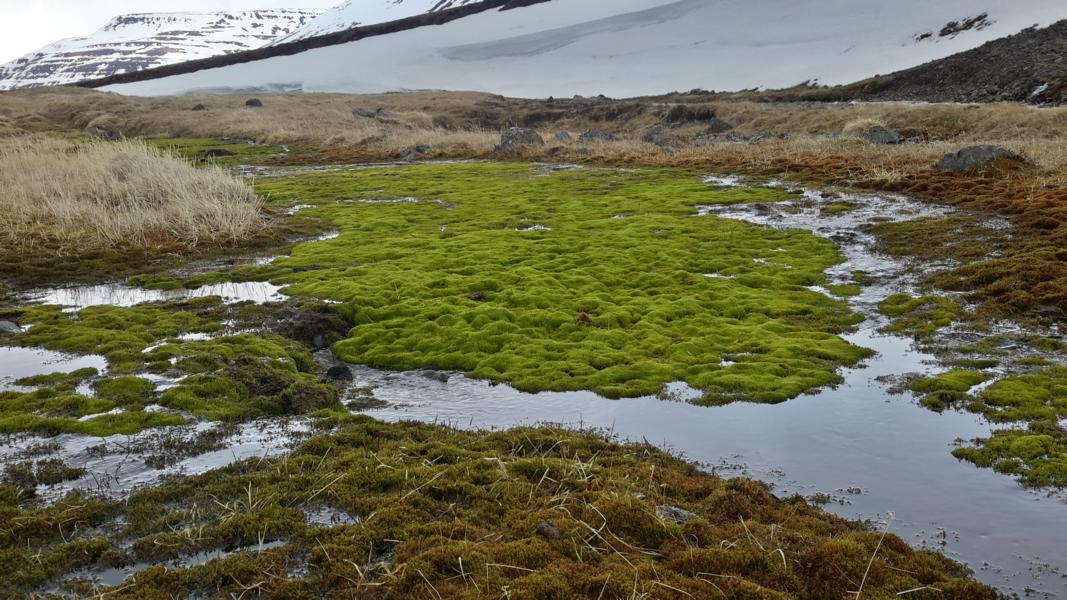 Schöne Kontraste im Hochland