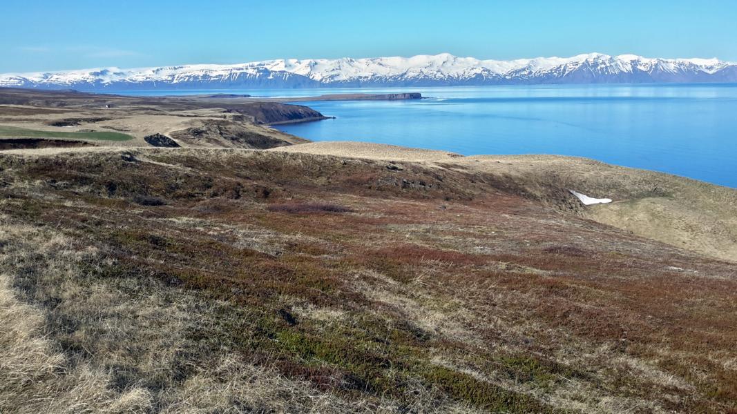 Küstenabschnitt zwischen Husavik und dem Hotel Skulagardur