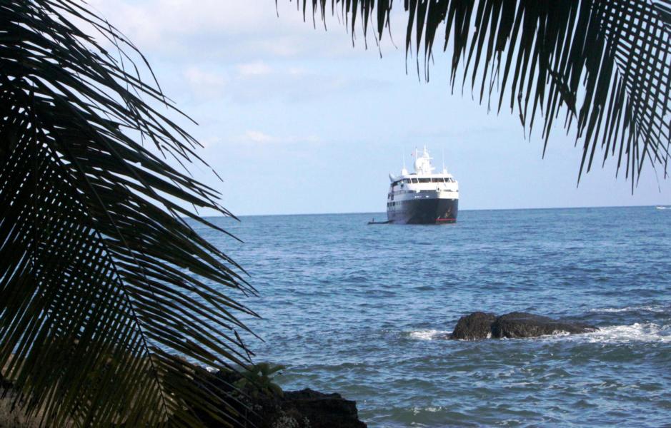 Wir beobachteten das Unternehmen in der Nähe unseres herrlichen Strandes und warteten auf unser Boot, das uns zur Ranger-Station San Pedrillo, dem Ausgangspunkt unserer Tageswanderung, brachte.