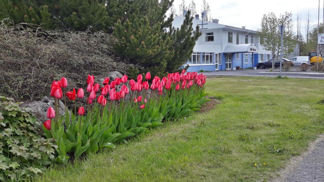 Hotel in Reydarfjördur