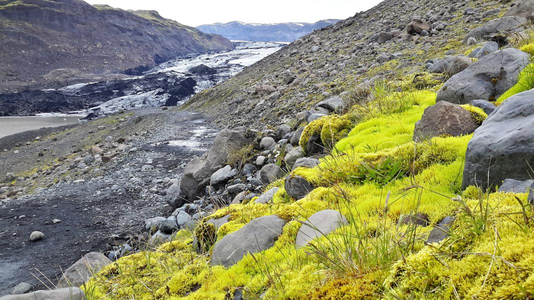 Weg zum Gletscher Myrdalsjökull