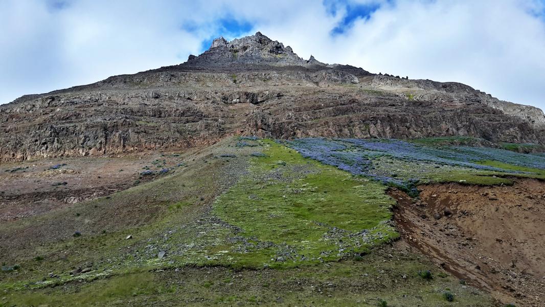 Gebirge bei Hnifsdalur