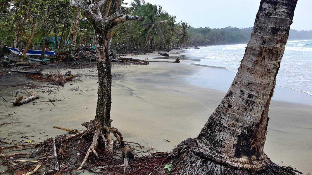 Sandstrand am Manzanillo-Nationalpark