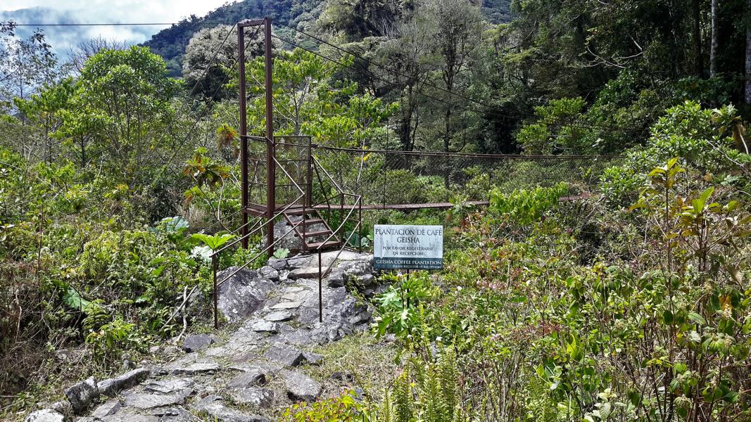 Hängebrücke zur Platage