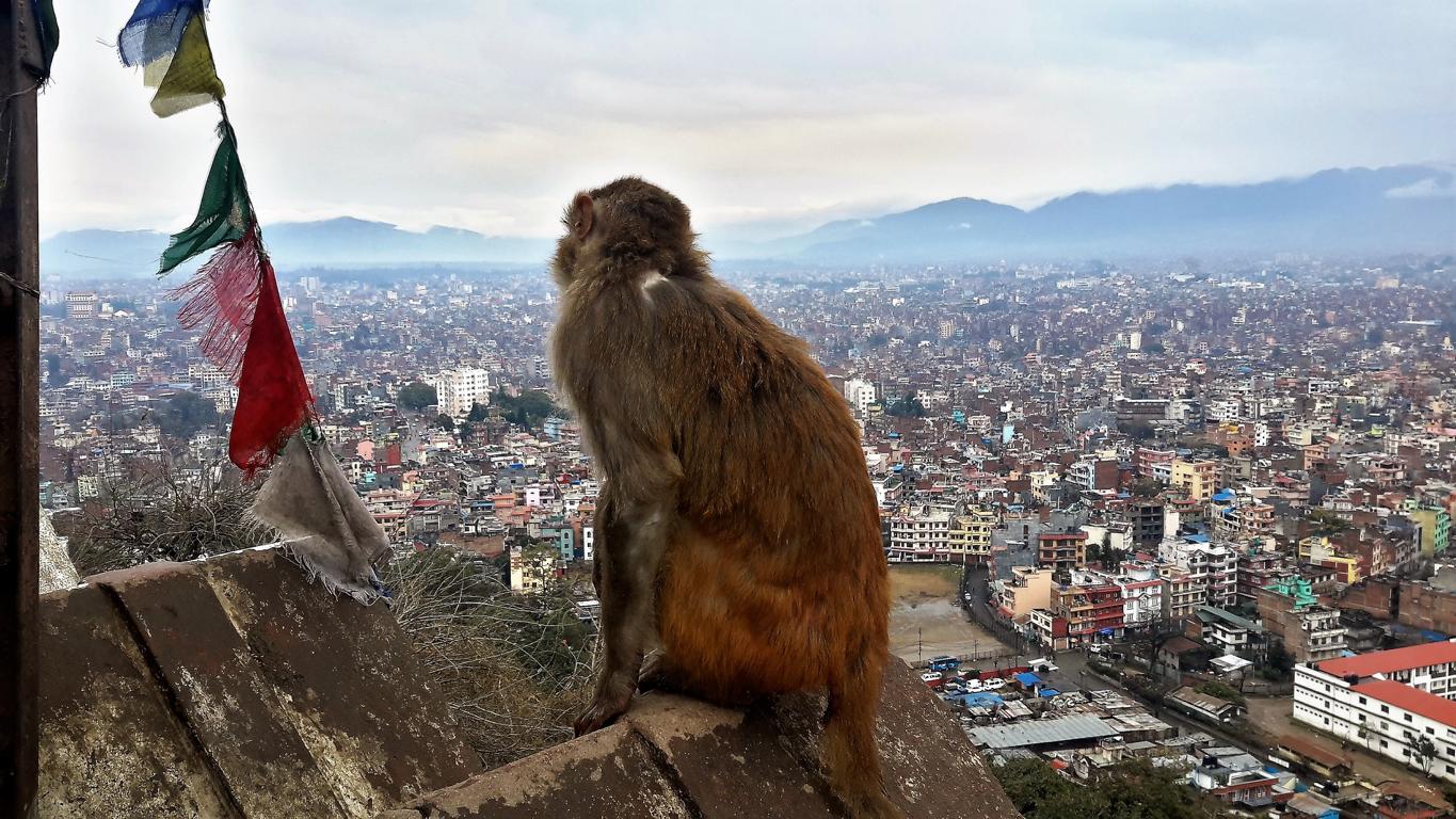 Blick auf Kathmandu