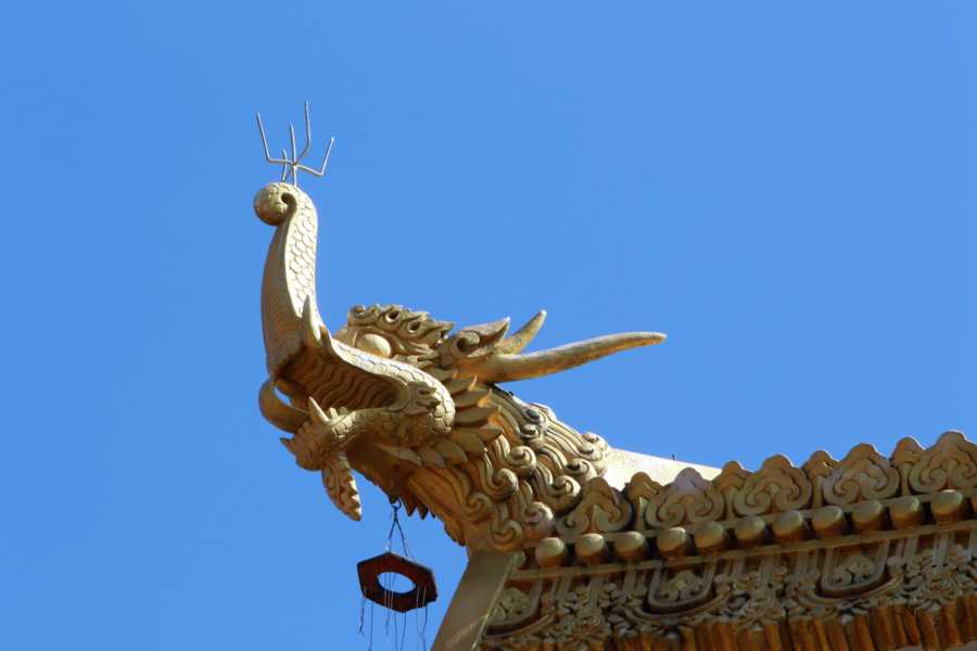 Thrangu Tashi Yangtse Monastery 